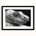 Framed wall art featuring a striking snake design in a black frame with a white mat, showcasing intricate details and vibrant colors, perfect for reptile enthusiasts.