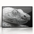 Framed wall art collection showcasing a striking reptile snake design in vibrant colors, featuring a sleek black frame for an elegant touch in home decor.