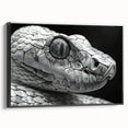 Framed canvas wall art showcasing a detailed snake design, featuring vibrant colors and a sleek black frame, perfect for reptile enthusiasts and modern decor.