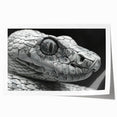 Colorful reptile-themed wall art featuring an intricate snake design, printed on high-quality canvas and rolled for easy framing. Perfect for nature lovers and home decor enthusiasts.