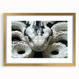 Framed wall art featuring a striking reptile and snake design in gold tones, elegantly matted and displayed from a front view, perfect for animal lovers and home décor enthusiasts.