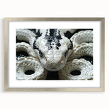 Silver-framed wall art featuring a detailed reptile snake design, showcasing vibrant colors and intricate patterns, perfect for enhancing home décor with a touch of wildlife elegance.