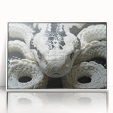 Framed acrylic wall art showcasing a vibrant snake design in a minimalist white frame, perfect for reptile enthusiasts and modern decor lovers. Ideal for enhancing any living space or office with its striking visual appeal.
