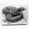 Acrylic wall art showcasing a detailed side view of a reptile snake design, elegantly displayed with pins, ideal for enhancing modern interior decor.