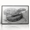 Framed wall art featuring a striking reptile snake design with vibrant colors and intricate details, set in a sleek black frame, perfect for enhancing modern decor.