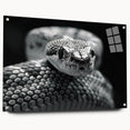 Acrylic wall art featuring a vibrant snake design, showcasing intricate details and colors on a glass surface, ideal for reptile enthusiasts and home decor.