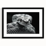 Framed wall art featuring a striking snake design, set in a black frame with a white mat, ideal for reptile enthusiasts and modern decor, enhancing any room's aesthetic.