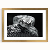 Framed wall art featuring a striking snake design in gold, set against a bold black background, perfect for reptile enthusiasts and modern decor.