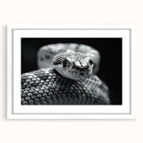 Framed wall art featuring a detailed reptile and snake design, set against a white mat, perfect for enhancing modern home decor. Ideal for reptile enthusiasts.