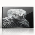 Framed wall art featuring a striking black snake design, showcasing intricate details on an acrylic surface, perfect for reptile enthusiasts and modern decor.