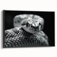 Framed wall art featuring a detailed snake design in a black frame, showcasing intricate patterns and textures, perfect for reptile enthusiasts and modern decor.