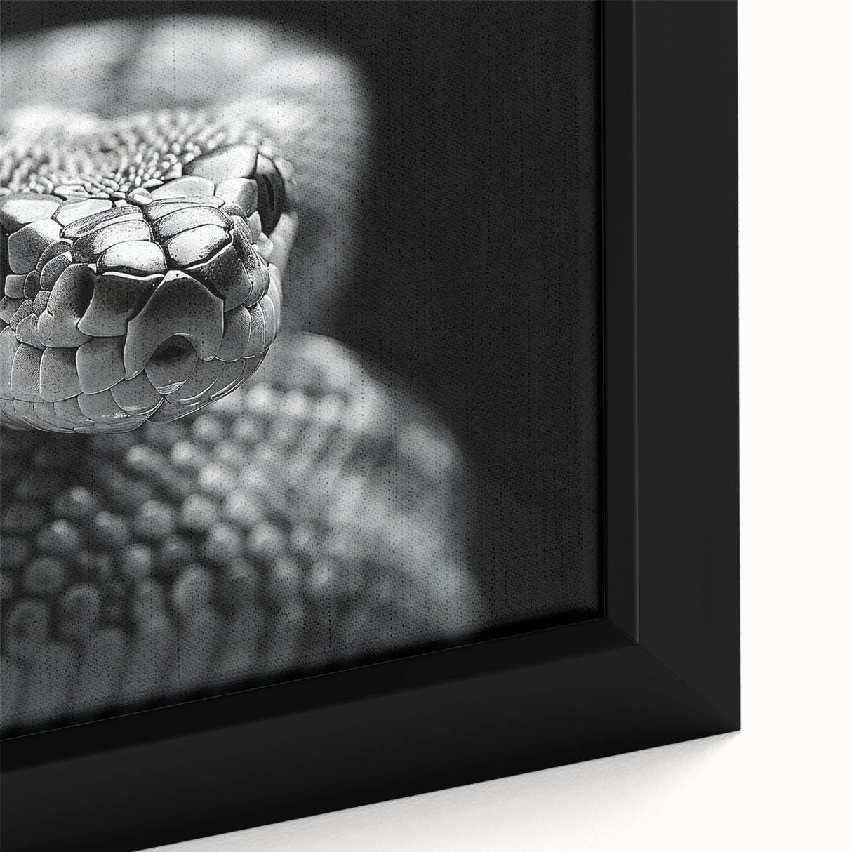 Close-up of a framed canvas wall art featuring a striking reptile snake design, showcasing intricate details and vibrant colors, perfect for animal lovers and modern decor.