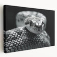 Stretched canvas wall art showcasing a vibrant snake design in a side view, featuring intricate scales and bold colors, ideal for reptile enthusiasts and home decor.