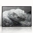 Framed wall art featuring a striking reptile snake design in vibrant colors, set in a sleek black frame, perfect for adding a modern touch to home decor.