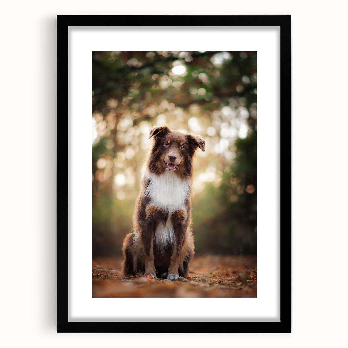 Black picture frame with a mat, showcasing a high-quality print, set against a white background, ideal for modern home decor or gallery display.