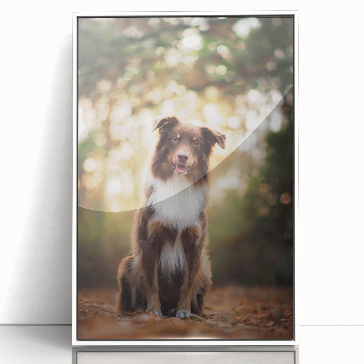 Framed acrylic print of a serene white flower on a neutral background, showcasing delicate details and vibrant colors, perfect for home decor or art enthusiasts.
