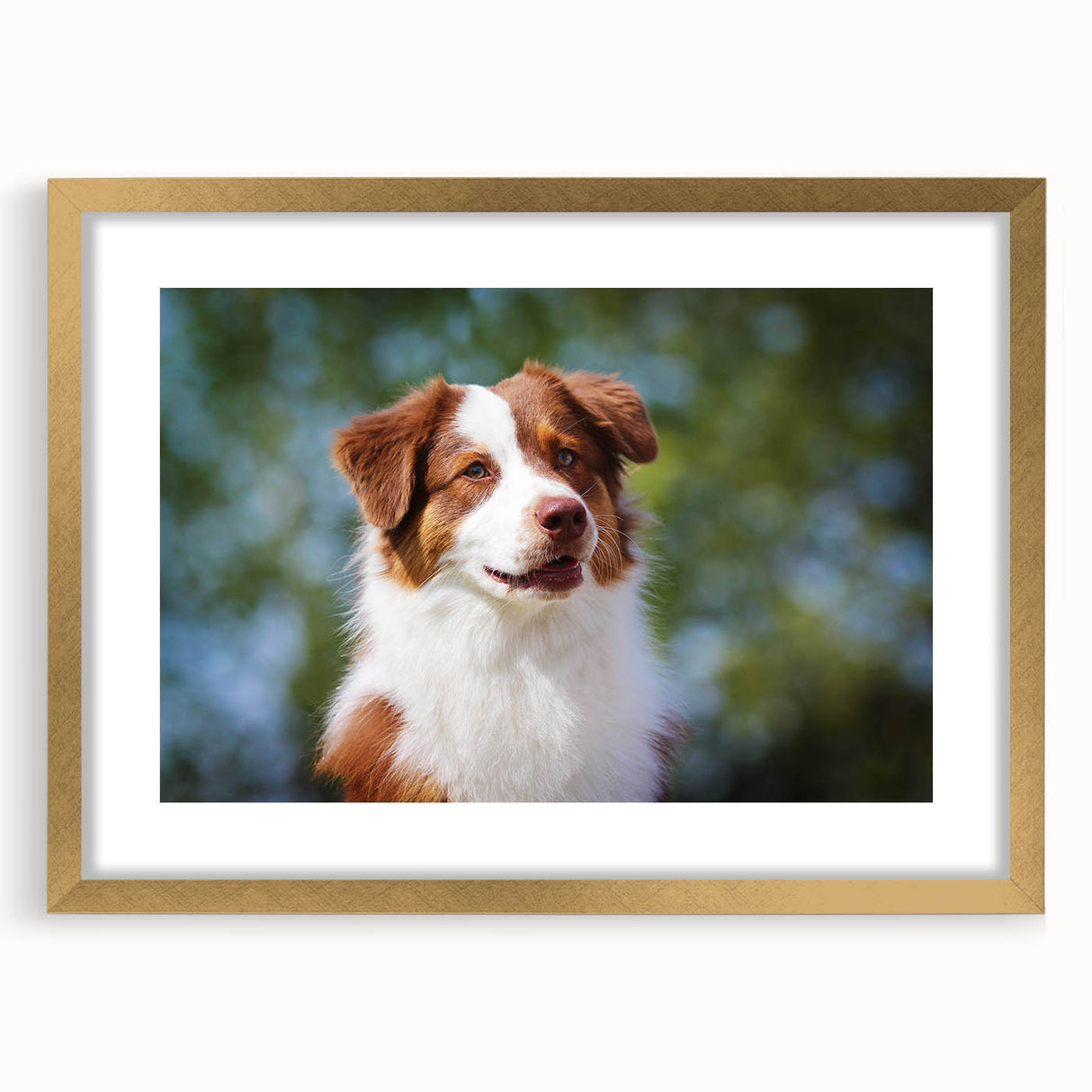 Elegant gold frame with a white mat, showcasing a classic painting in a front view setting. The frame's ornate details enhance the artwork, ideal for home decor.