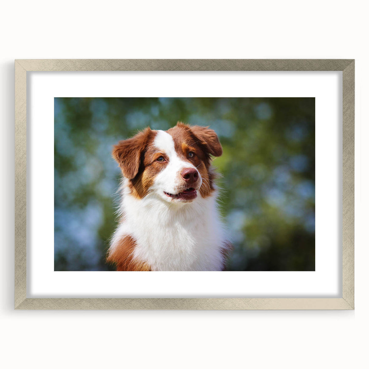 Silver-framed photo display with a white mat, showcasing a vibrant artwork, perfect for enhancing home decor or gallery presentations, set against a neutral backdrop.