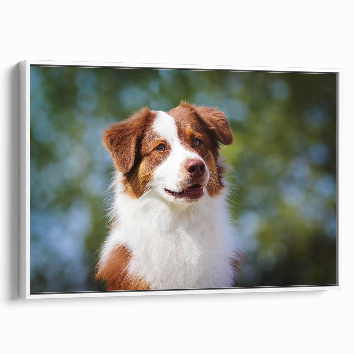 Framed canvas featuring a vibrant abstract art piece in bold colors, displayed in a minimalist white frame, enhancing modern decor aesthetics.