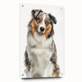 Acrylic glass side view showcasing colorful push pins arranged artfully on a white background, perfect for office organization and creative display.