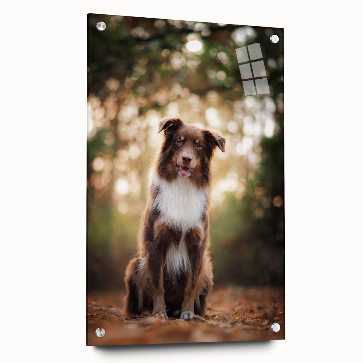Acrylic glass sheet showcasing a modern design, viewed from the side, with colorful pins securing it, ideal for art displays or creative projects.