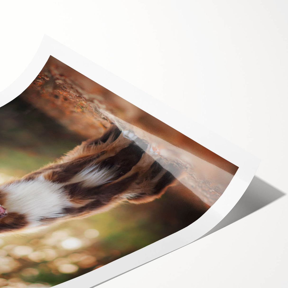 Rolled canvas print showcasing vibrant African tribal art with intricate patterns and vivid colors, securely rolled in a protective cardboard tube for safe shipping.