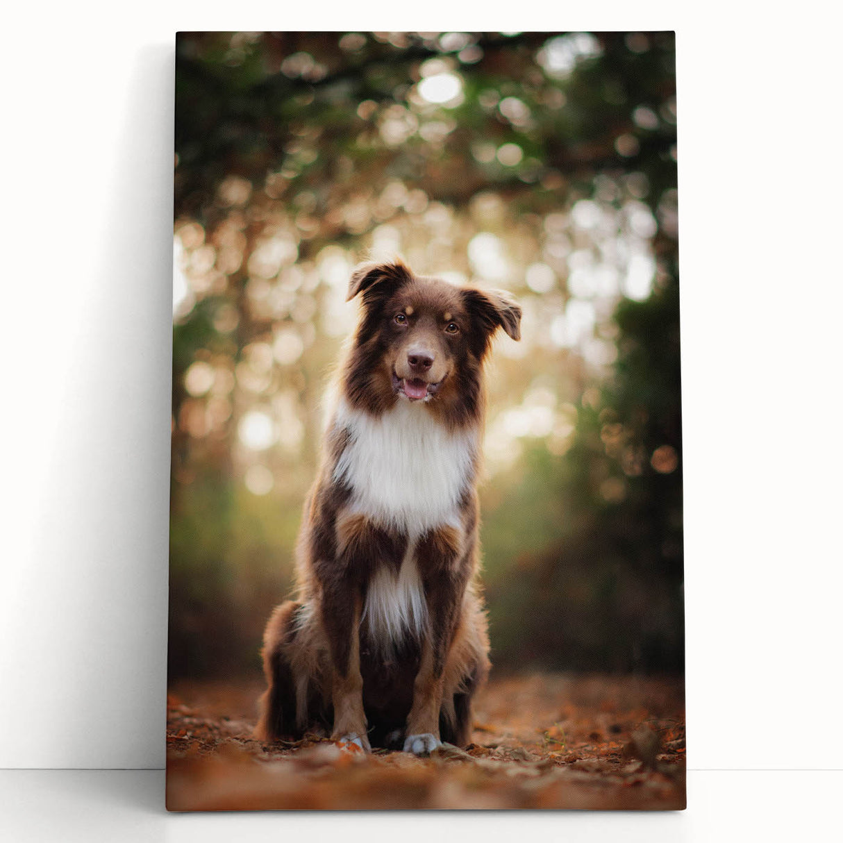 Stretched canvas featuring a serene landscape painting with vibrant colors, leaning against a rustic wooden wall, adding artistic flair to home decor.