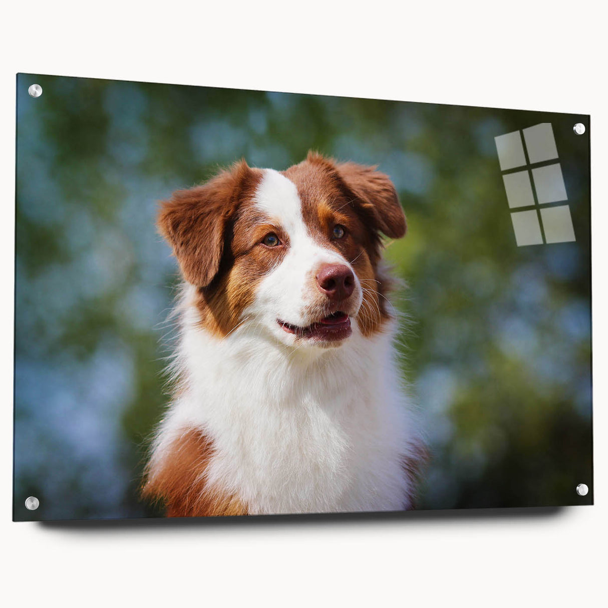 Acrylic glass sheet displayed from a side view, showcasing its glossy finish and precision-cut edges, ideal for framing artwork or photos. Perfect for modern decor.