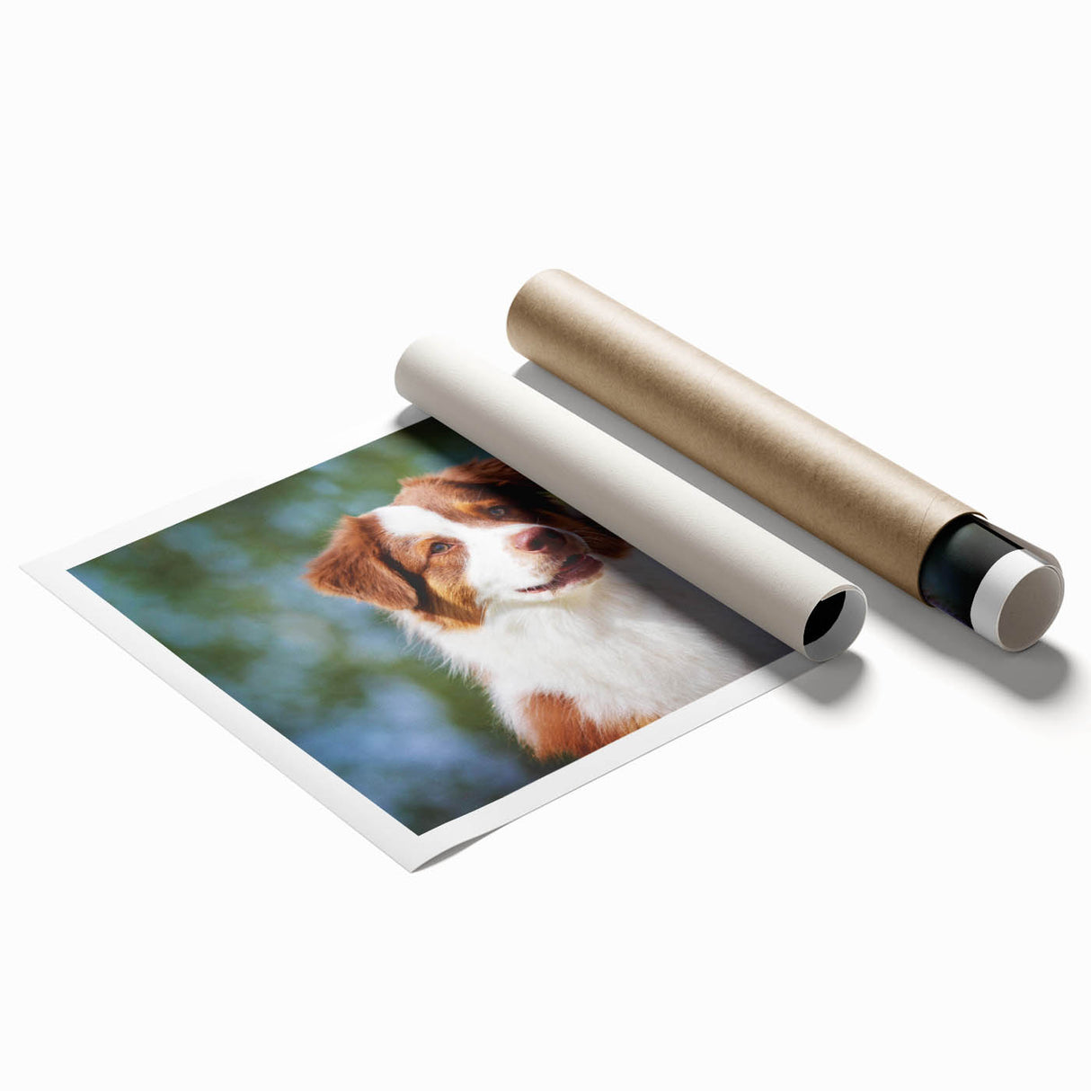 Rolled canvas print showcasing vibrant African tribal art with intricate designs and rich colors, securely packaged in a protective cardboard tube for delivery.