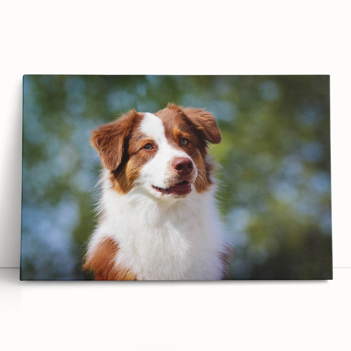 Stretched canvas artwork depicting a vibrant abstract landscape, leaning against a textured wall, showcasing rich colors of blue and gold, ideal for modern decor.