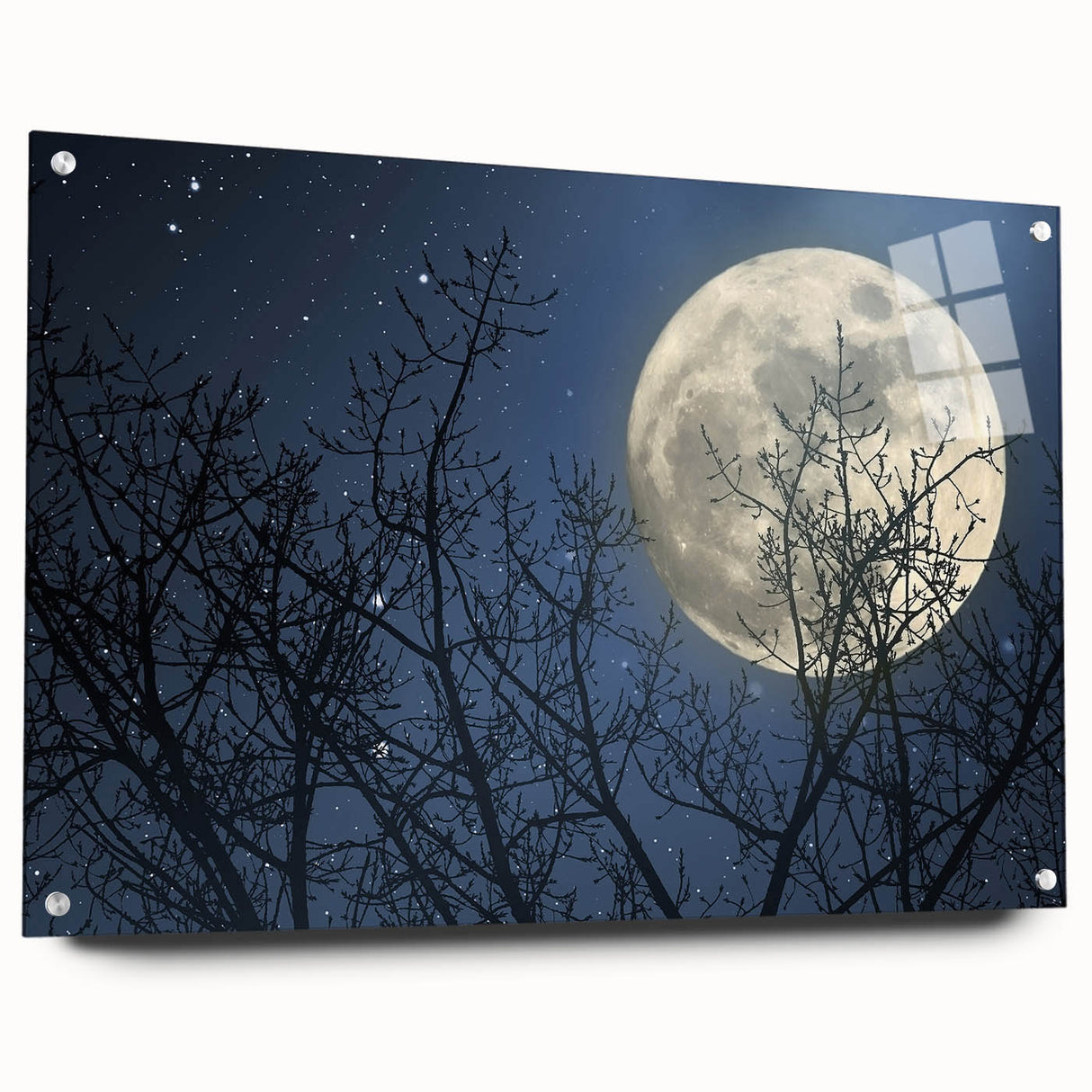 Stunning Moonlit Night Canvas – Celestial Decor with Lunar Phases