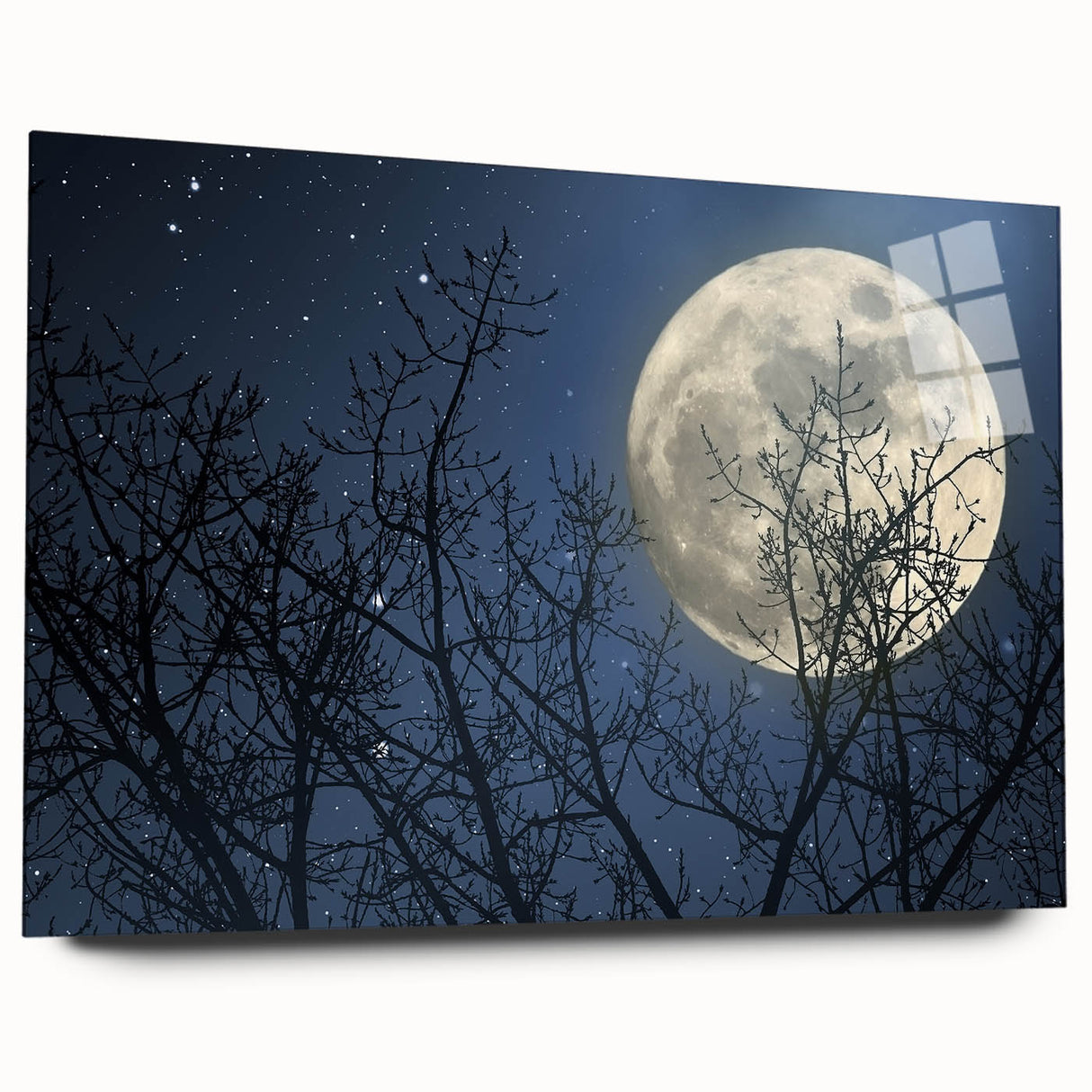 Stunning Moonlit Night Canvas – Celestial Decor with Lunar Phases