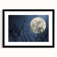 Stunning Moonlit Night Canvas – Celestial Decor with Lunar Phases