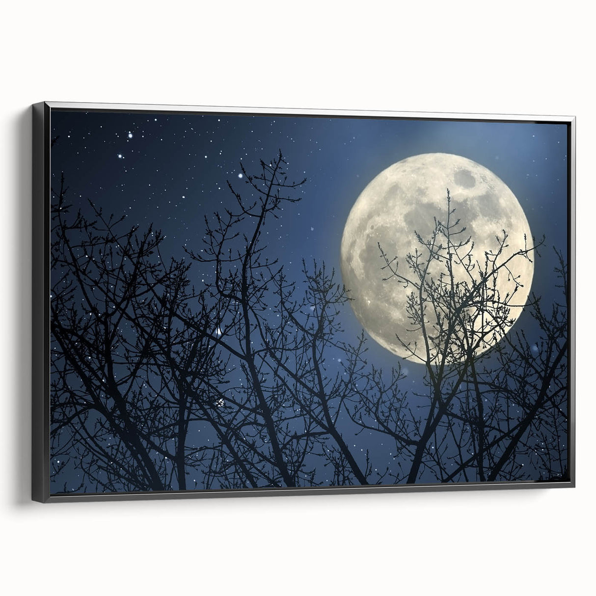 Stunning Moonlit Night Canvas – Celestial Decor with Lunar Phases