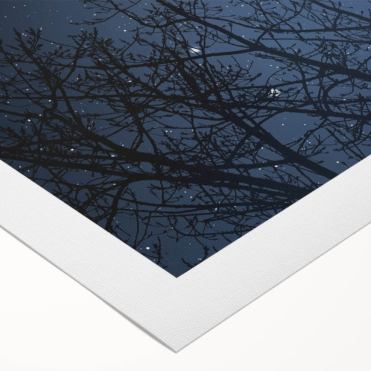 Stunning Moonlit Night Canvas – Celestial Decor with Lunar Phases