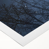 Stunning Moonlit Night Canvas – Celestial Decor with Lunar Phases