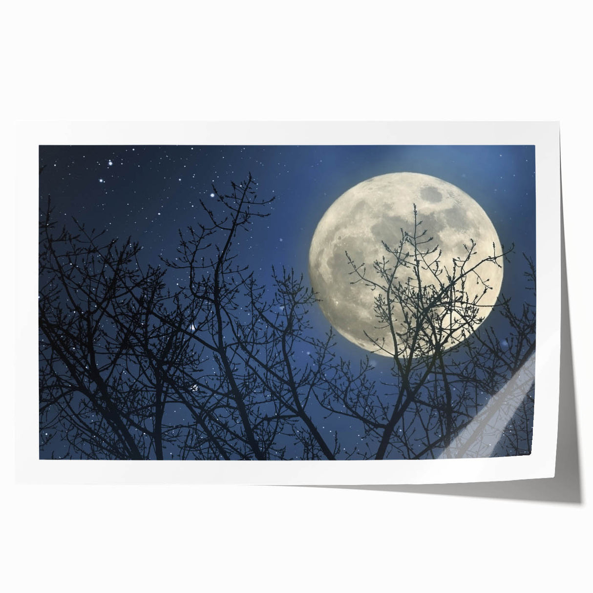 Stunning Moonlit Night Canvas – Celestial Decor with Lunar Phases