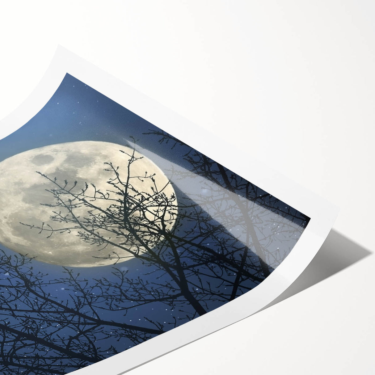 Stunning Moonlit Night Canvas – Celestial Decor with Lunar Phases