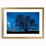 Starry Night Tree Silhouette Art - Cosmic Sky Wall Decor for Nature Lovers
