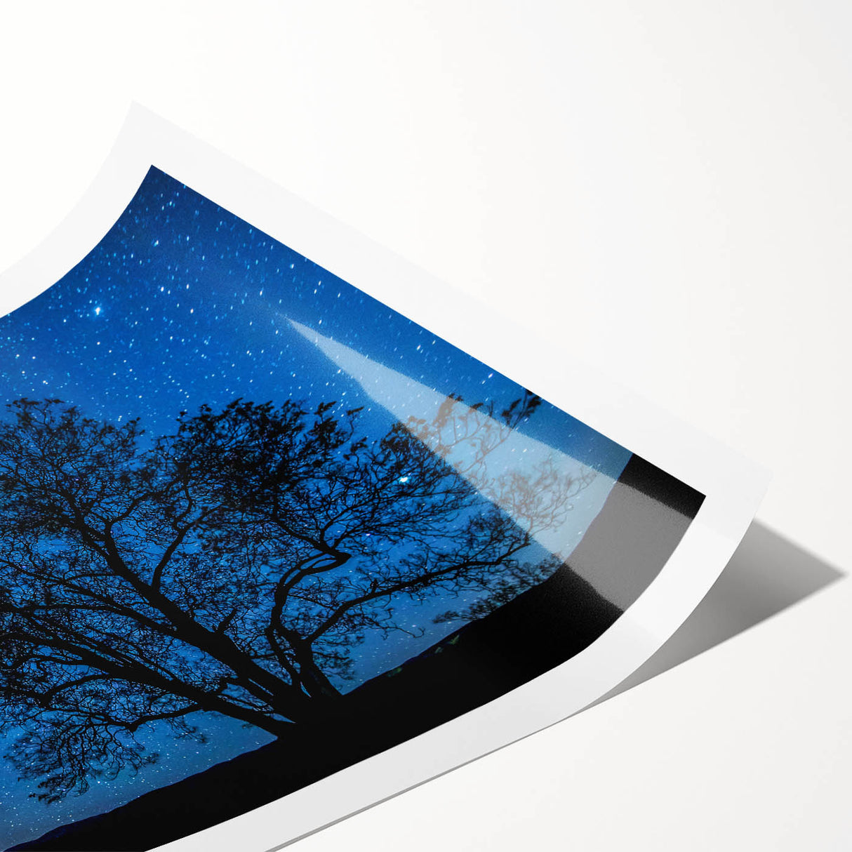 Starry Night Tree Silhouette Art - Cosmic Sky Wall Decor for Nature Lovers