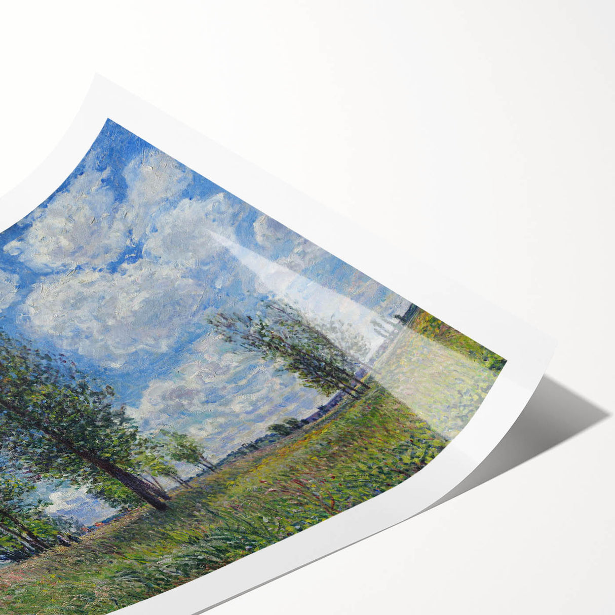Extra large rolled print featuring line art flowers in soft pastel shades, ideal for large living room wall art.
