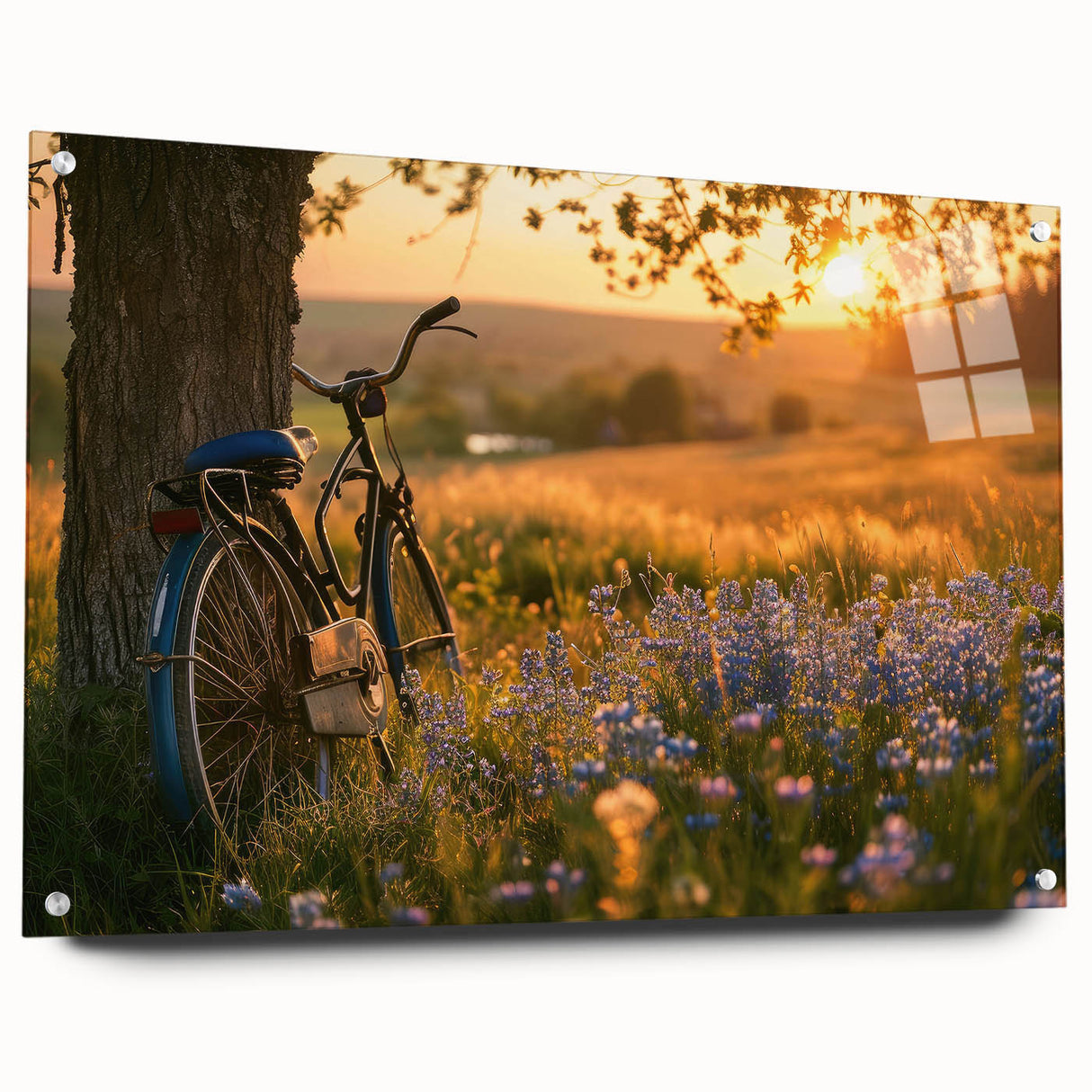 Side view of a bicycle depicted in large abstract style on acrylic glass, with a monochrome palette.