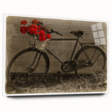 Side view of a bicycle depicted in large abstract style on acrylic glass, with a monochrome color scheme.
