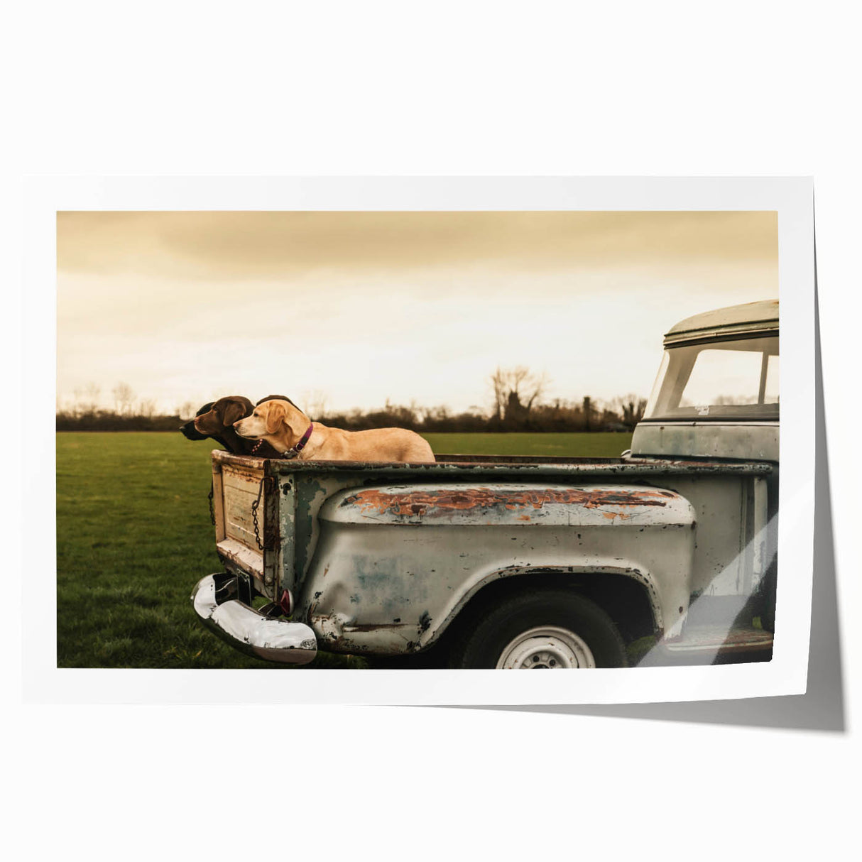 Rolled print of trucks in vibrant primary colors, ideal for art wall dining room or large spaces.