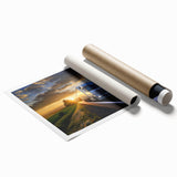Rolled print of a colorful collection of various trucks, ideal for playful children's room decor.