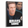 Brian’s Song 1970s Vintage Movie Poster Classic 70s Film Art