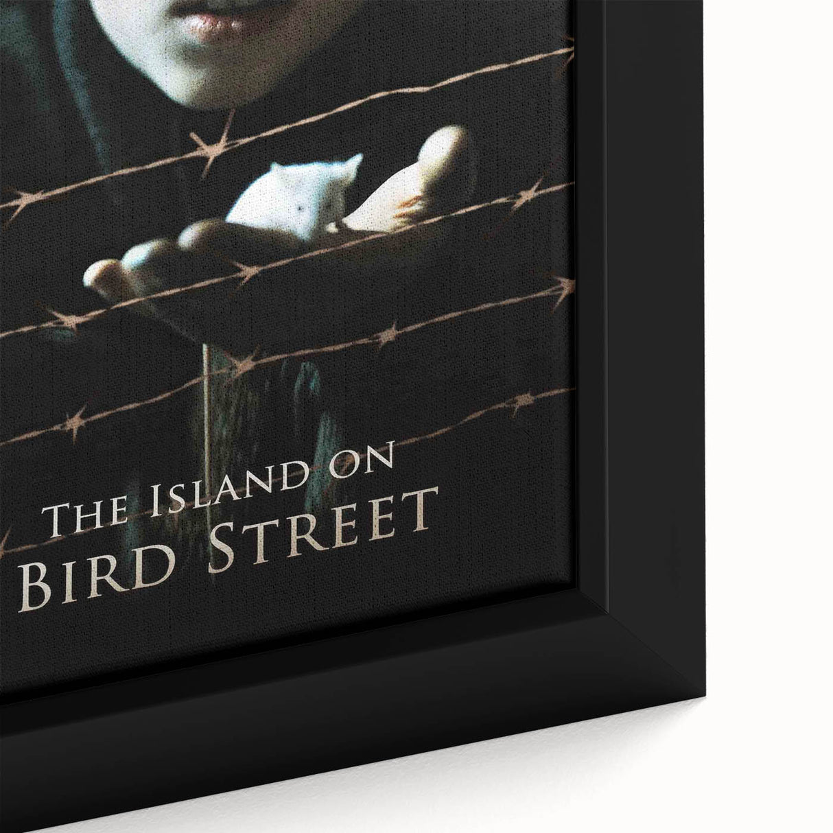 1990s Vintage Movie Poster – The Island on Bird Street Classic 90s Art