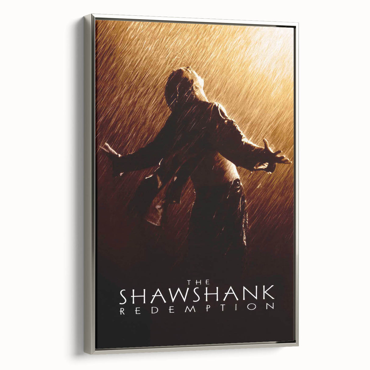 1990s Vintage Movie Poster - Classic 90s Film Art - The Shawshank Redemption
