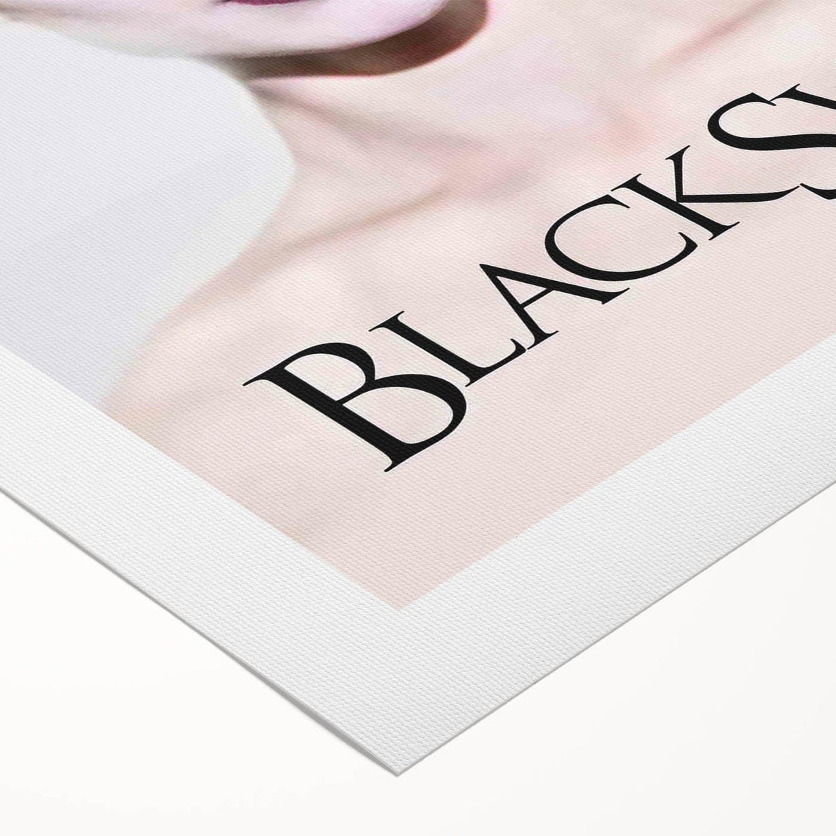 2010s Movie Poster Art - Black Swan Retro Vintage Film Print