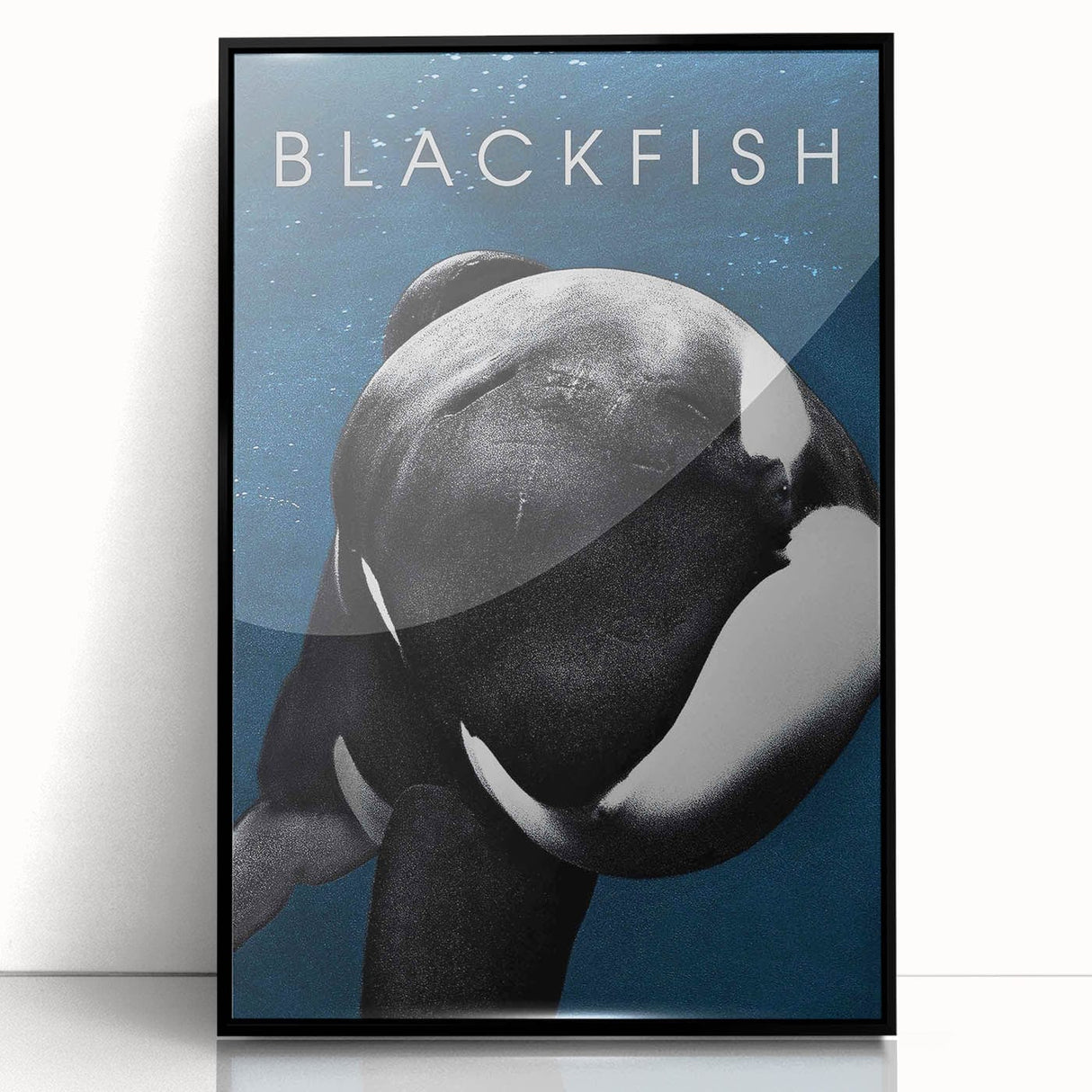 2010s Movie Poster Art - Blackfish Retro Vintage Film Print